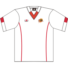 Customised Custom Cut And Sew Soccer Jerseys Manufacturers USA, UK Australia